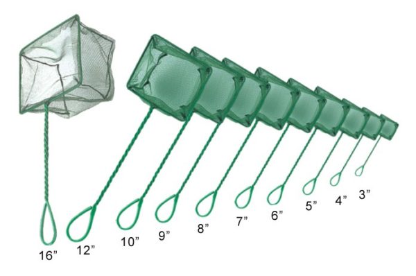 Fish Net 3 inch